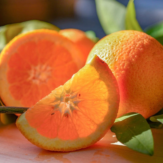 Blood Orange Infused Extra Virgin Olive Oil bottle next to citrus and fresh greens