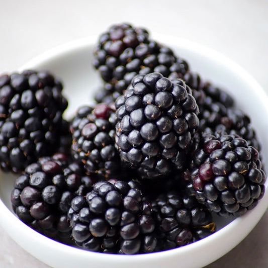 Blackberry Ginger Dark Balsamic Vinegar Glaze