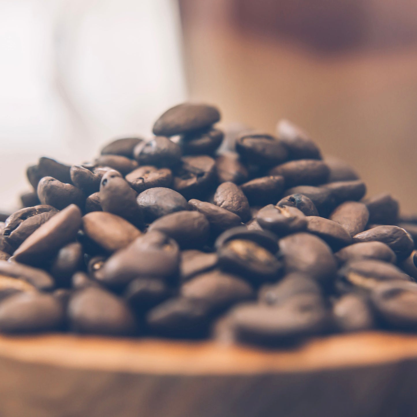 Nicaragua Coffee Beans / Medium Roast